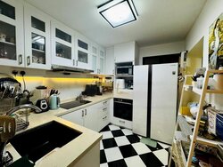 Dover Parkview (D5), Condominium #460002701